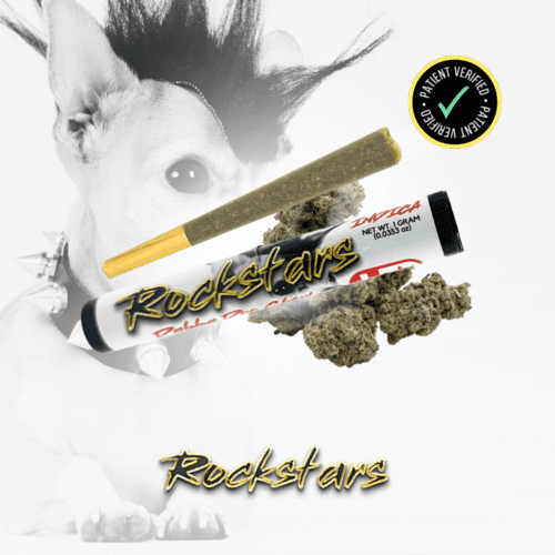 PR - Rockstars - 1G - Dabba Doo Chew