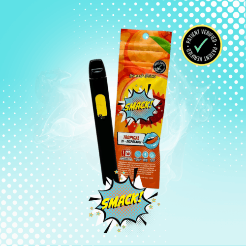 Smack - 2g Disposable - Tropical
